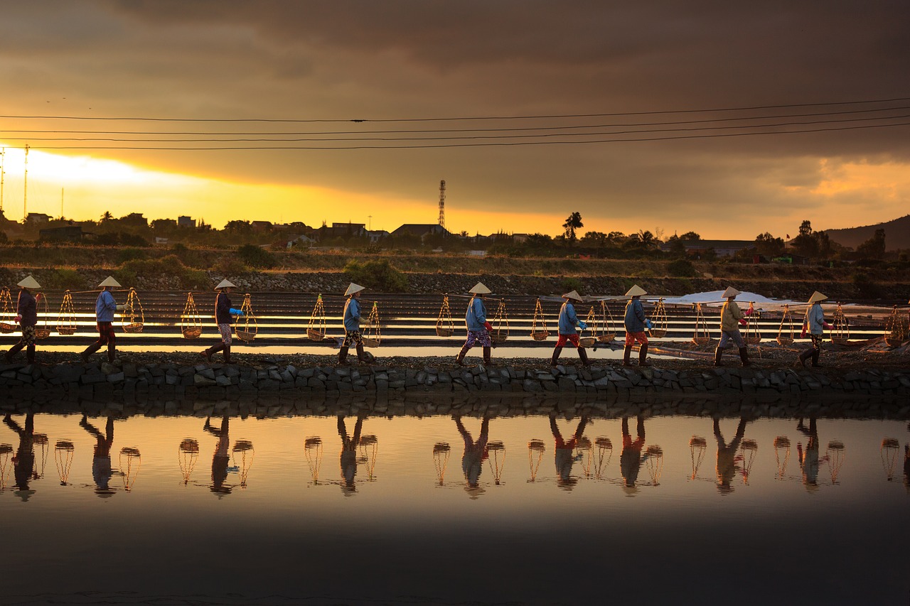 Image - salt hon khoi vietnam field