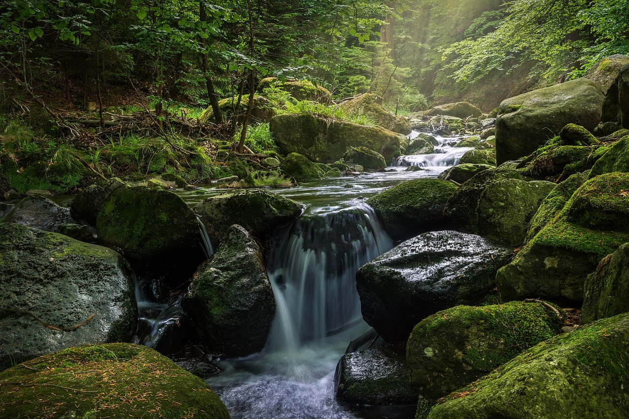 Image - waters waterfall river moss nature