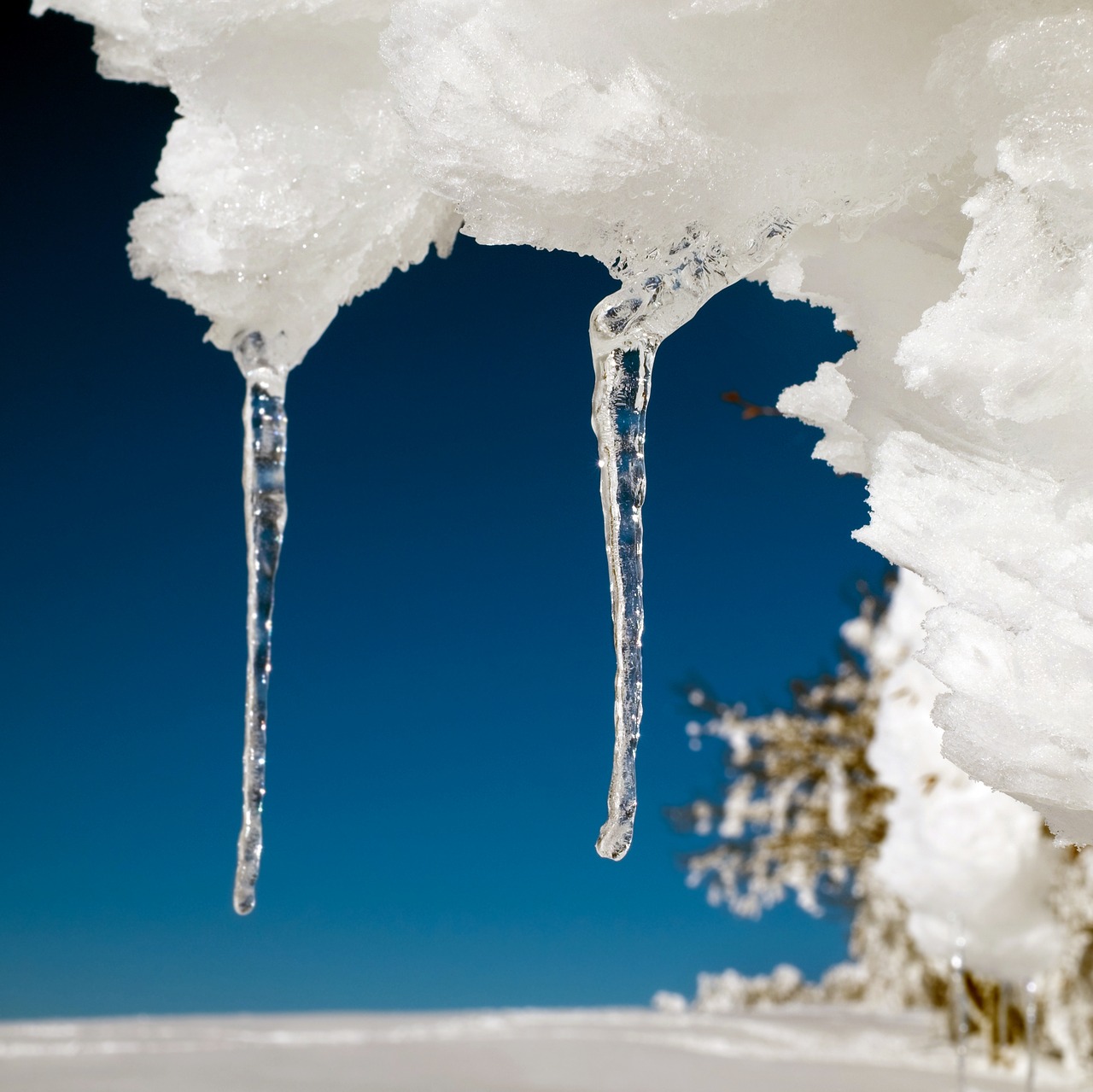 Image - icicle ice drip frozen icy cold