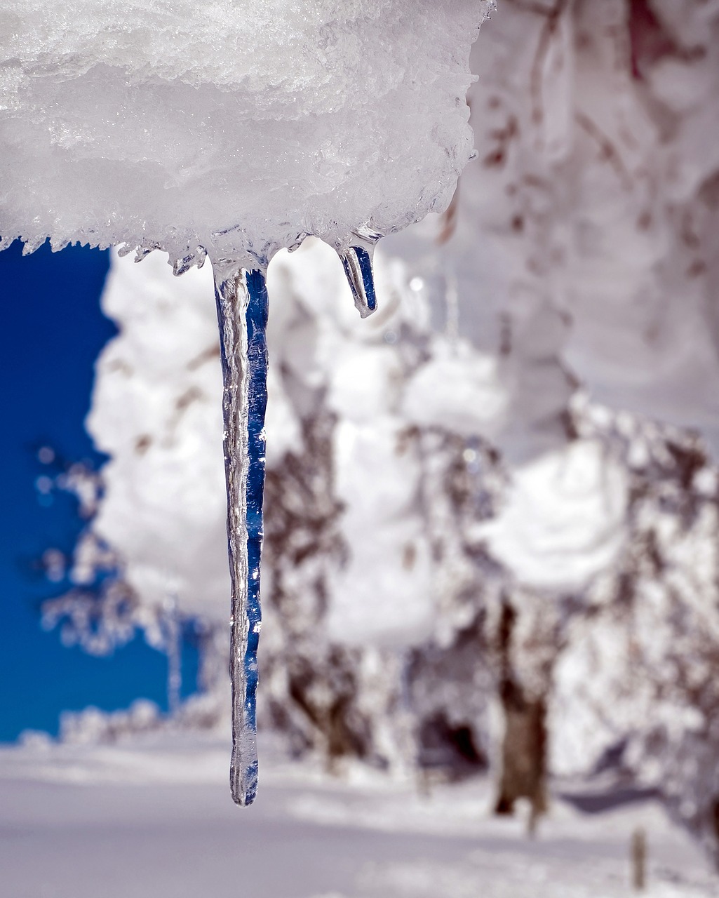 Image - icicle ice drip frozen icy cold