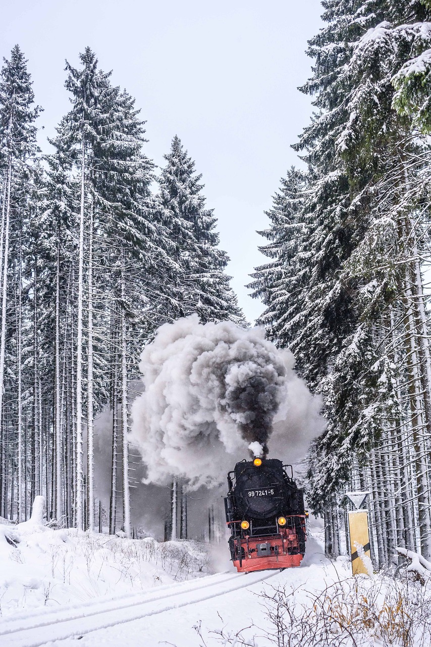 Image - harzer schmalspuhrbahn wintry