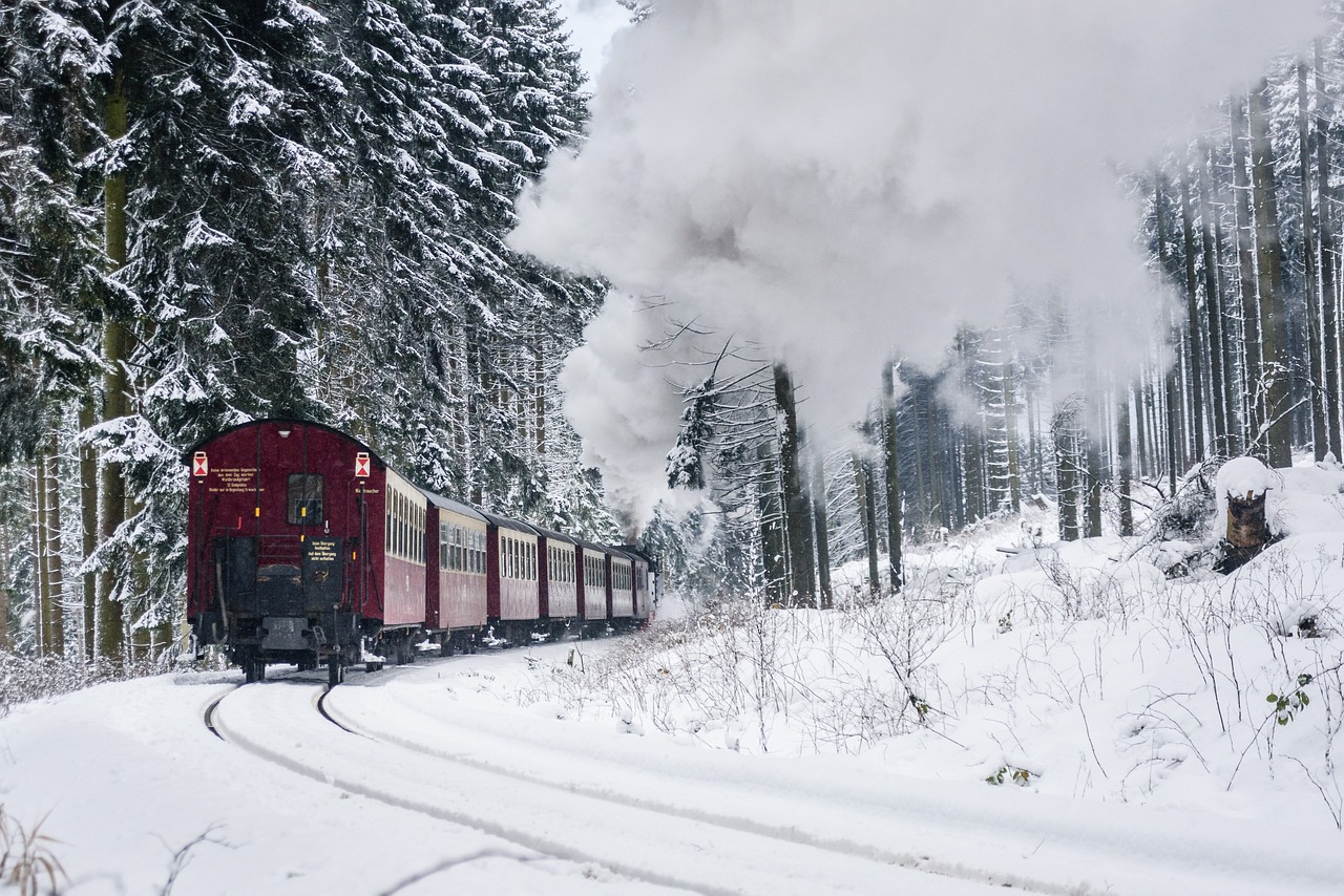 Image - harzer schmalspuhrbahn wintry