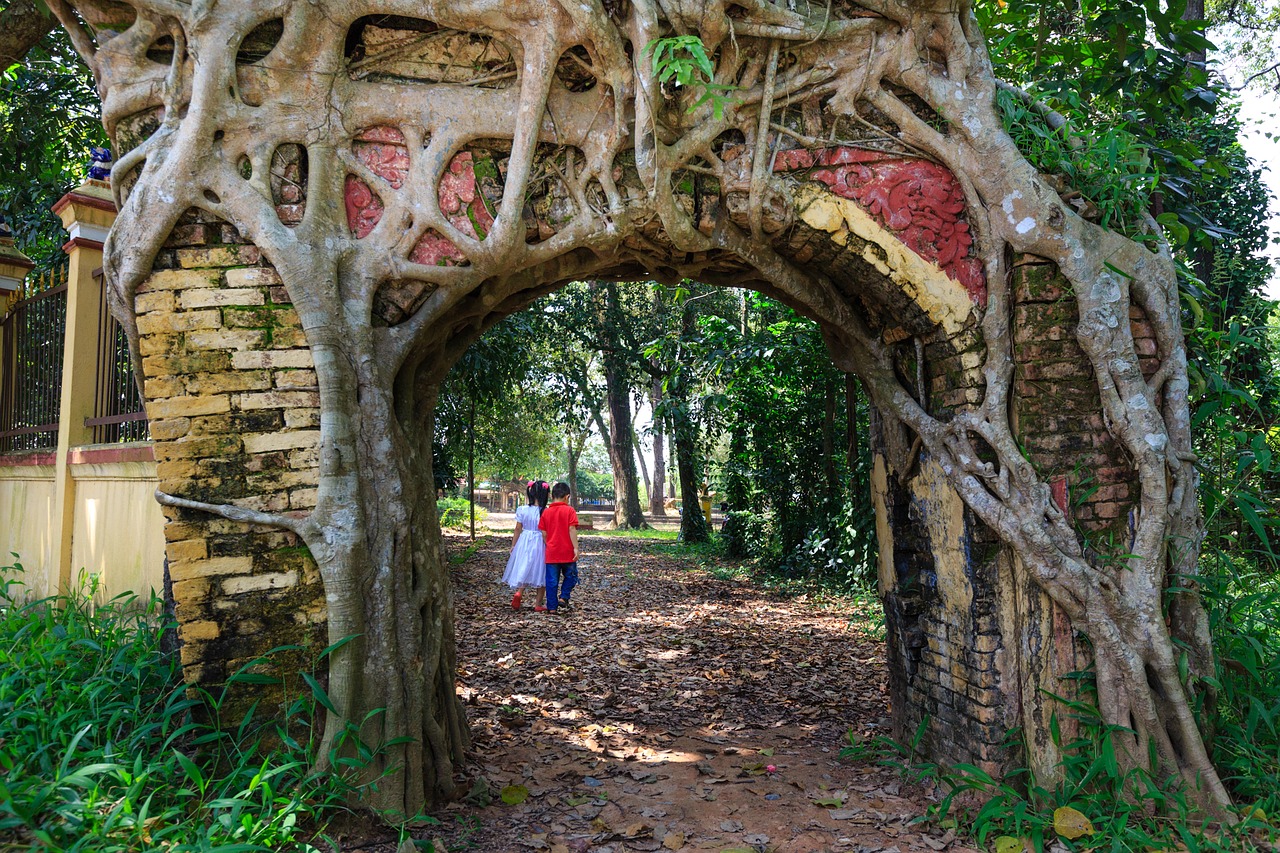 Image - tree door cling old temple art