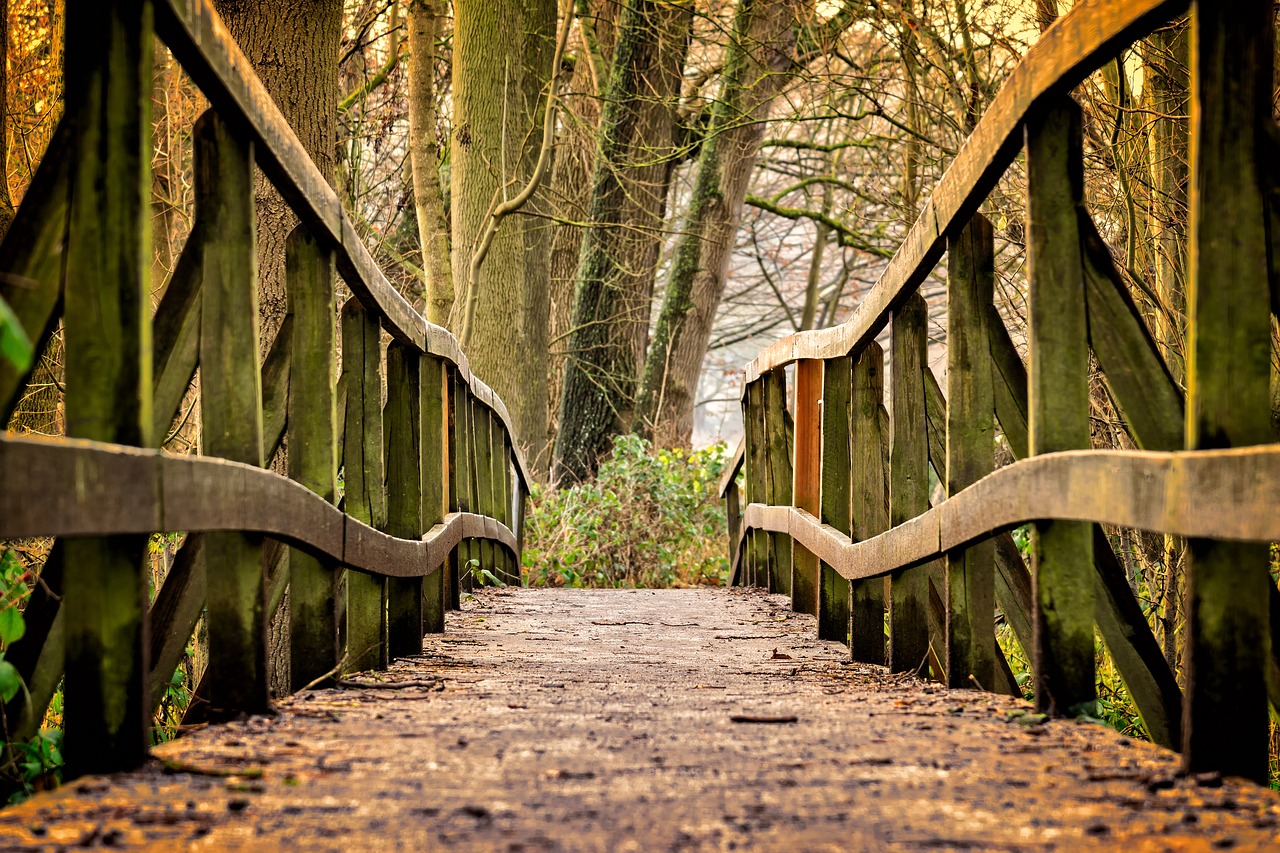 Image - away bridge web wood nature