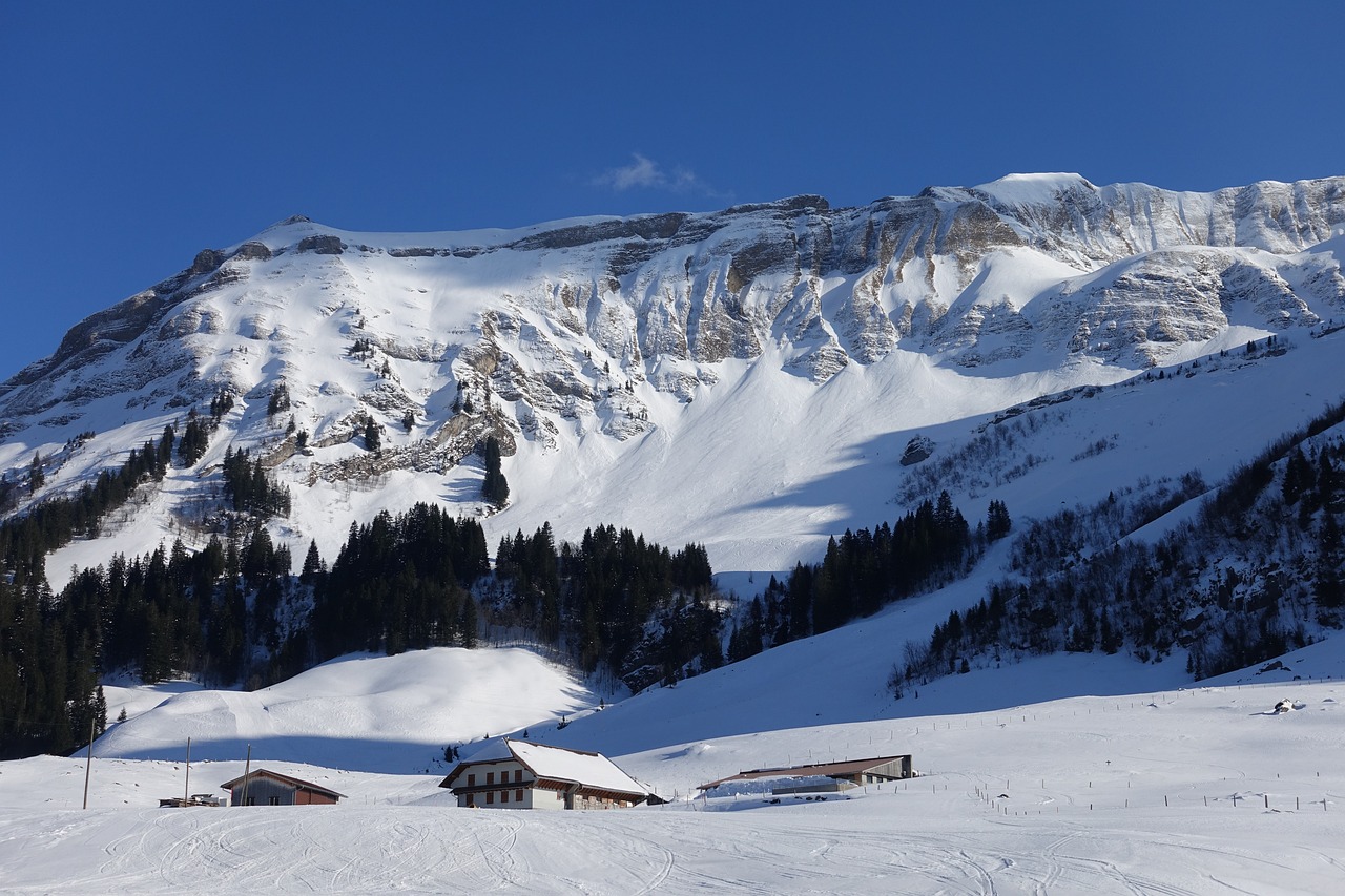 Image - ski area brienzer rothorn