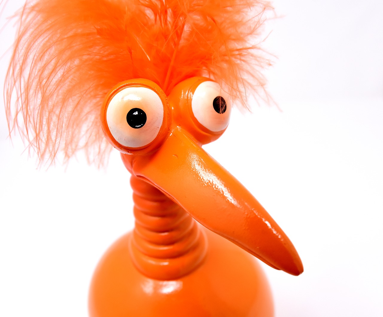 Image - joker orange funny weird bird cute