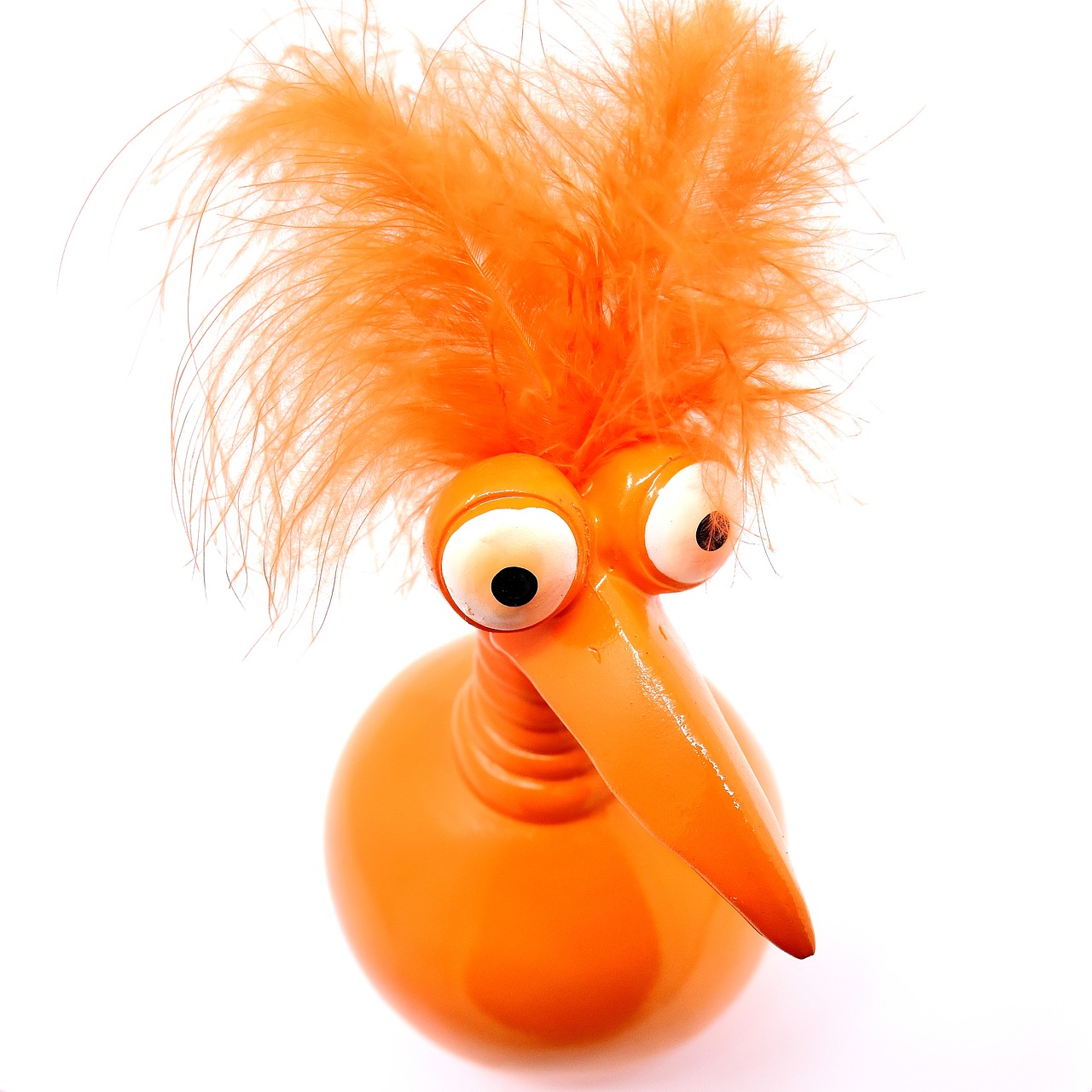 Image - joker orange funny weird bird cute