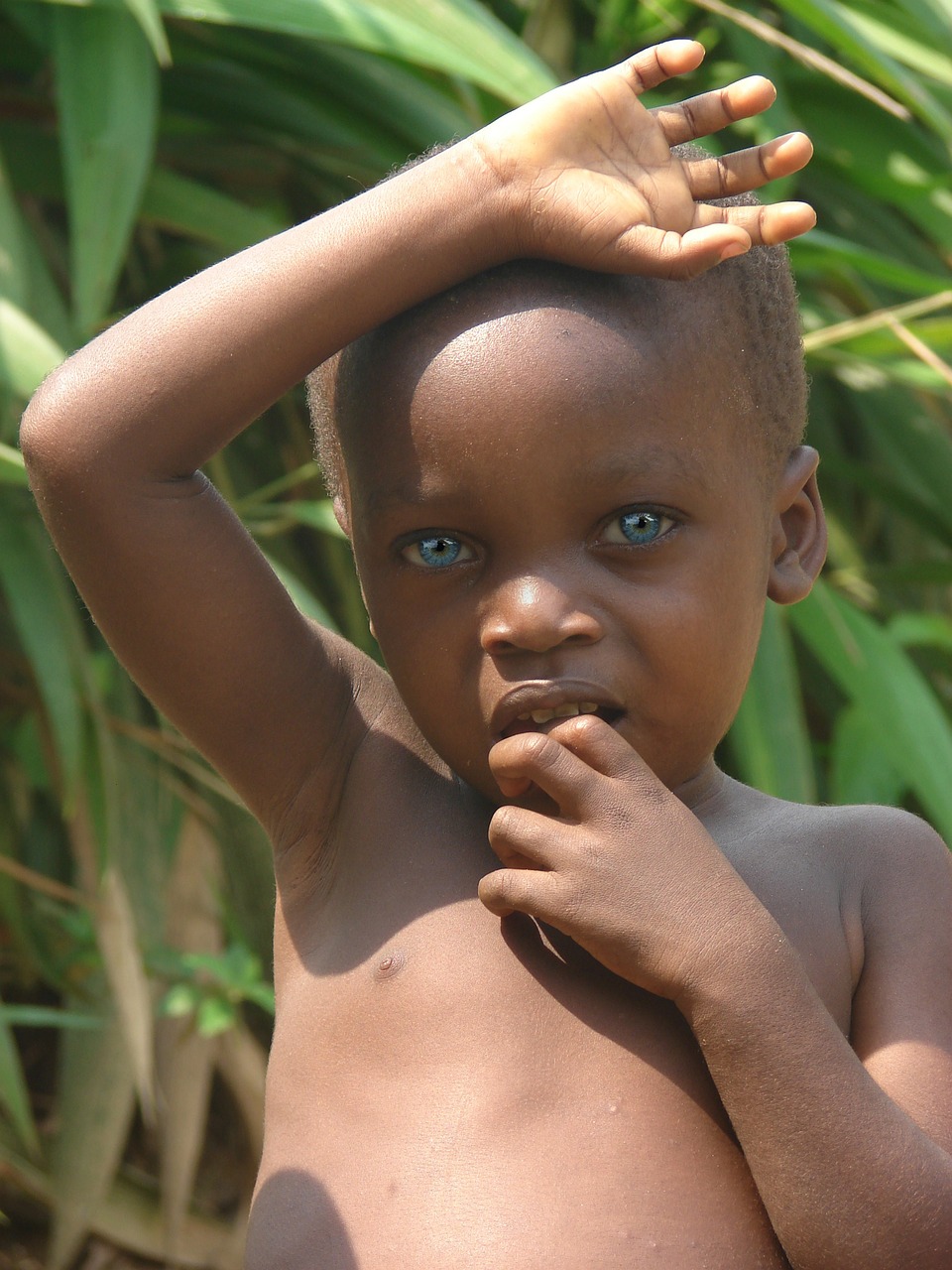 Image - boy blue eyes blue œil eyes