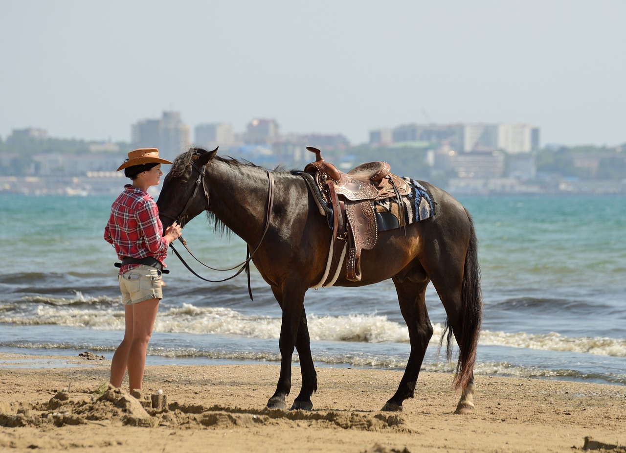 Image - beach horse stroll