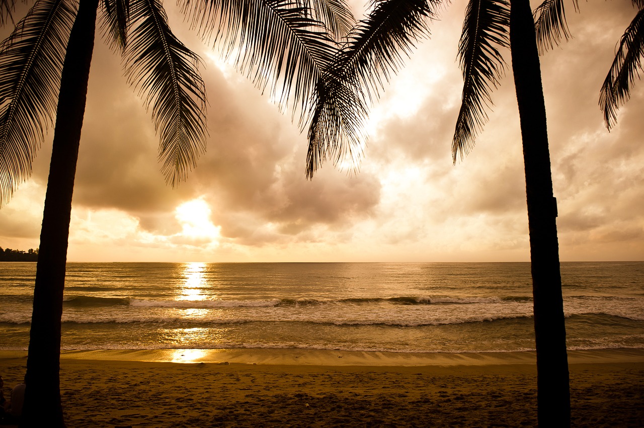 Image - beach phuket nature sea sunset