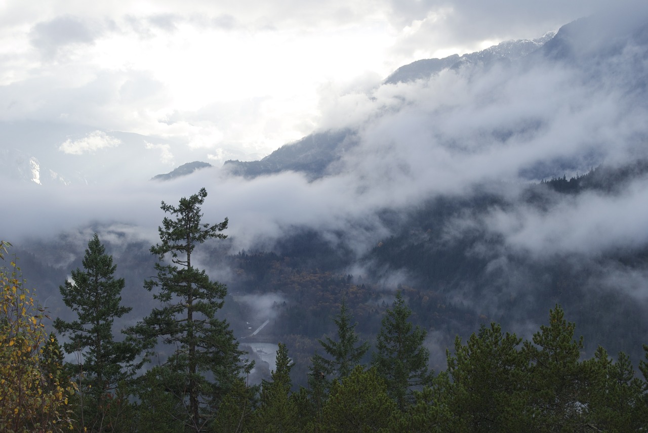 Image - clouds pine tree landscape tree