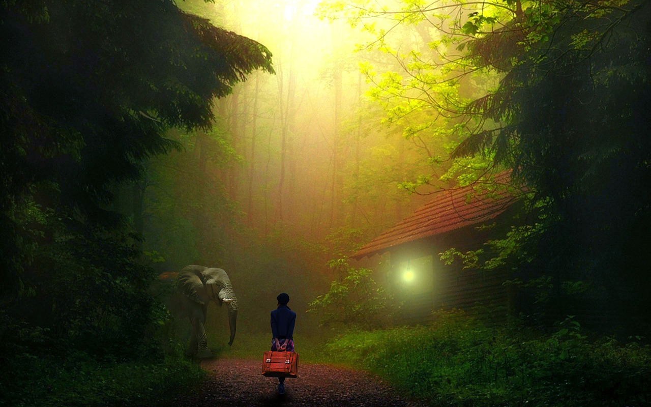 Image - girl alone jungle walking elephant