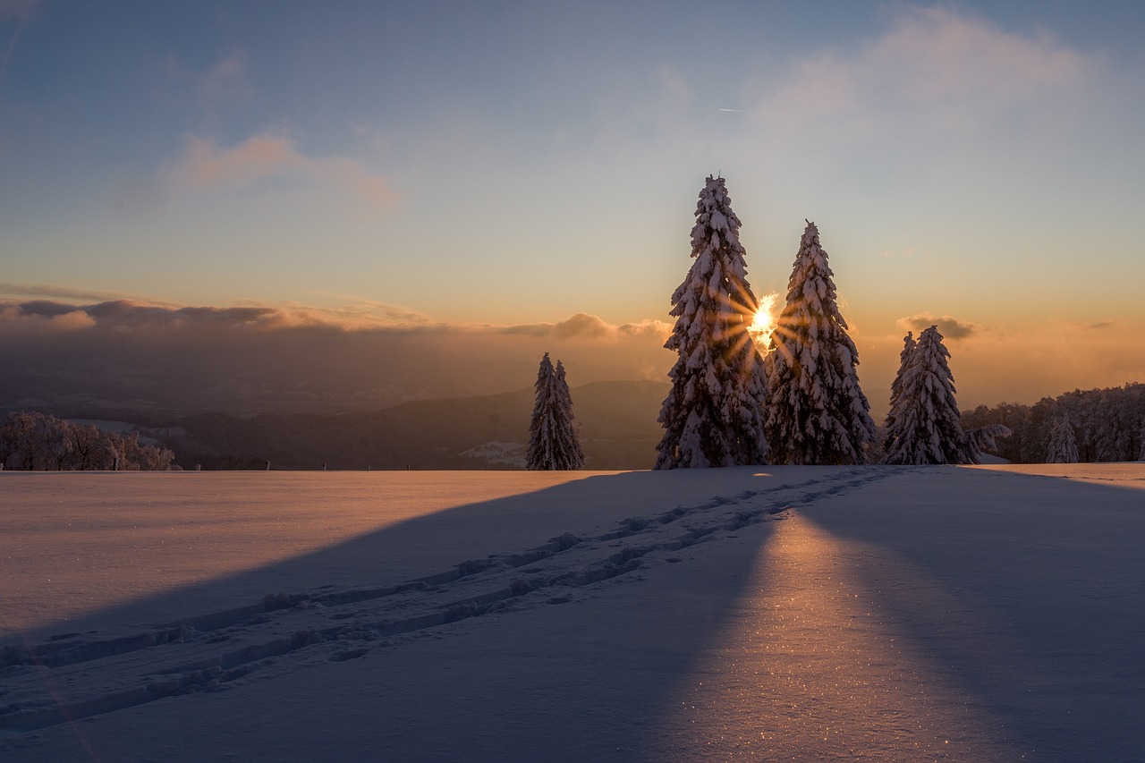 Image - winter snow wintry cold white