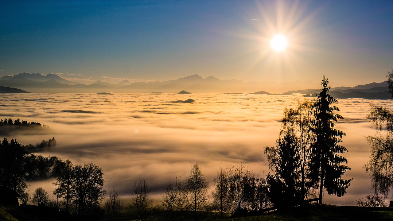 Image - landscape fog trees nature