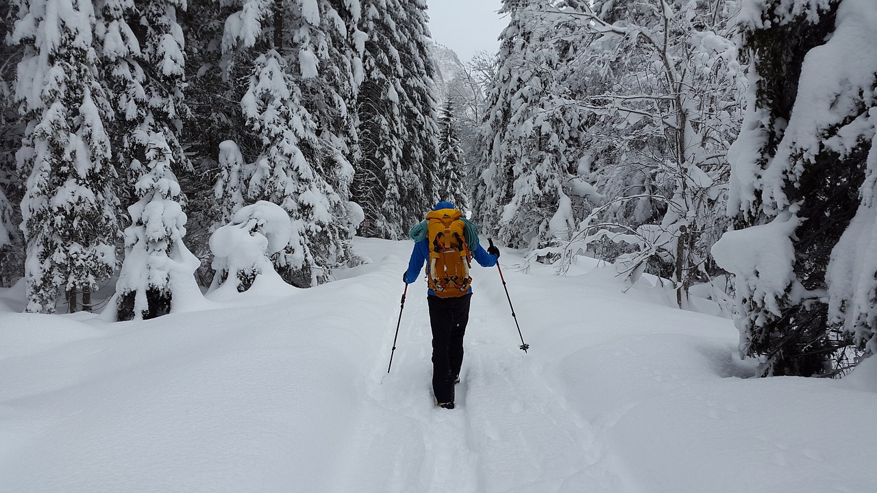 Image - hiking snow forest winter cold