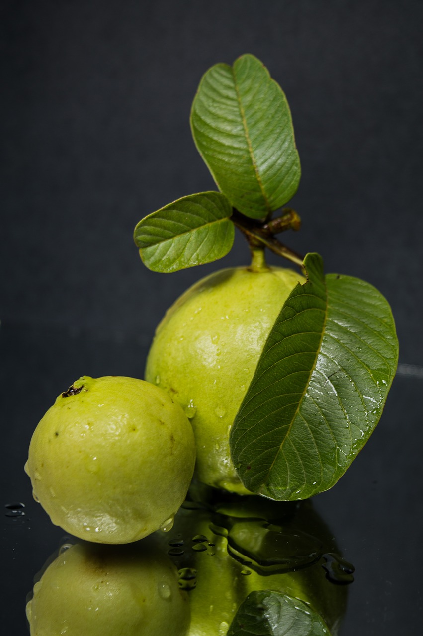 Image - leaf fruit food nature flora grow