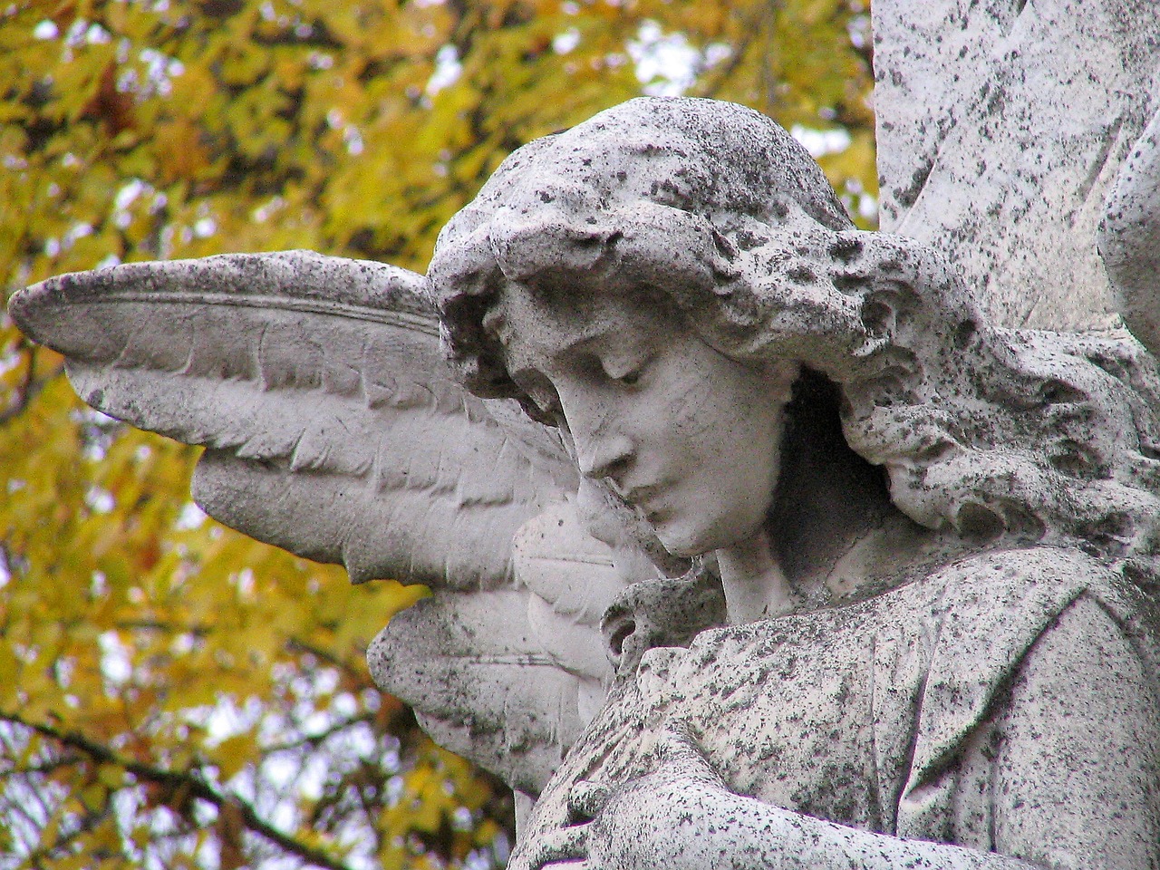 Image - angel einkehr stone nature statue