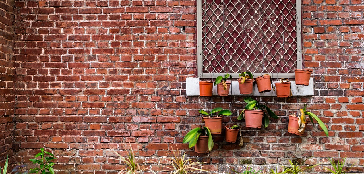 Image - brick wall old plant green grunge