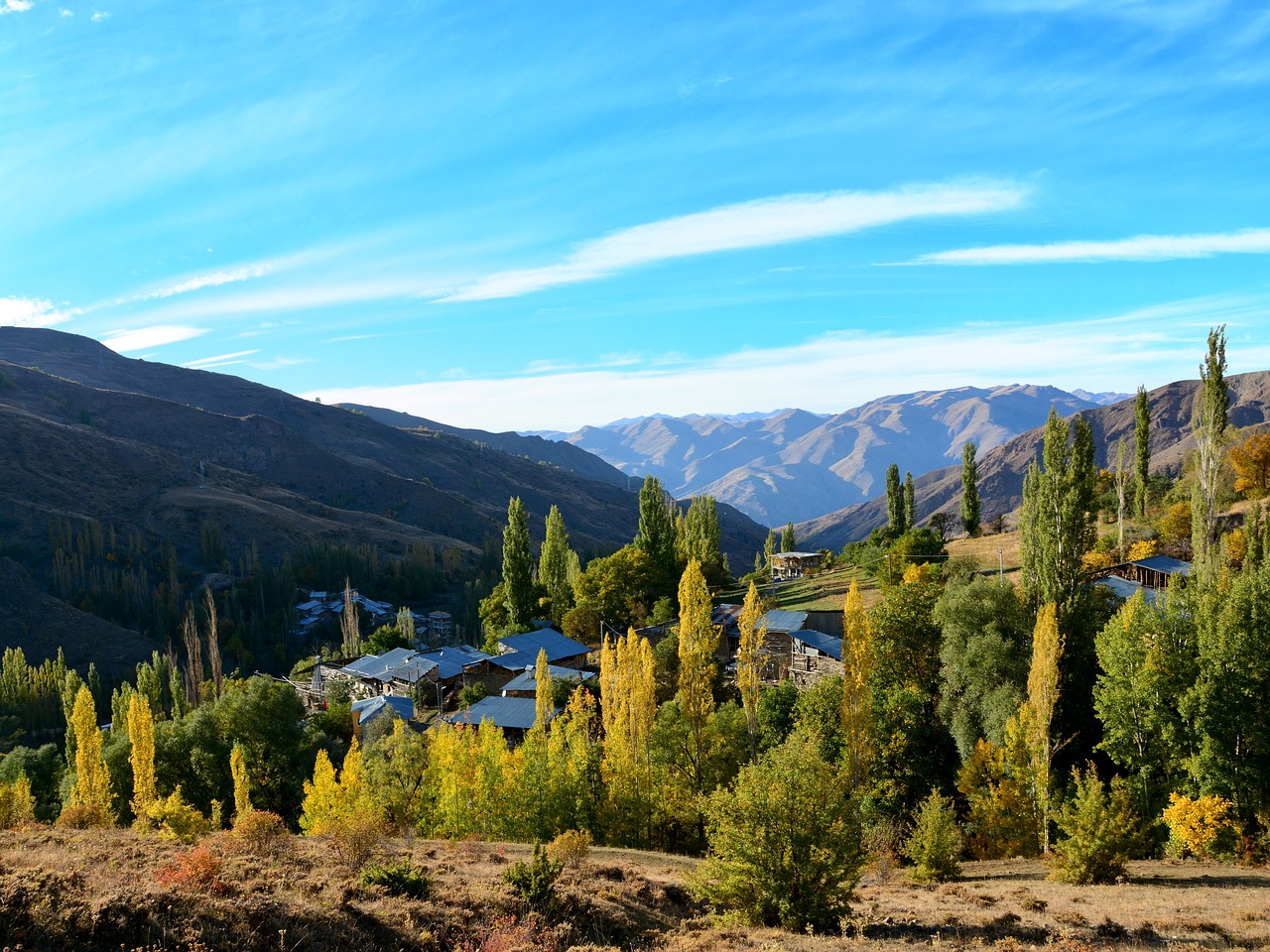 Image - turkey autumn season nature