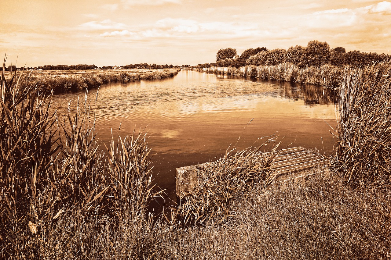 Image - waterway banks jetty rushes