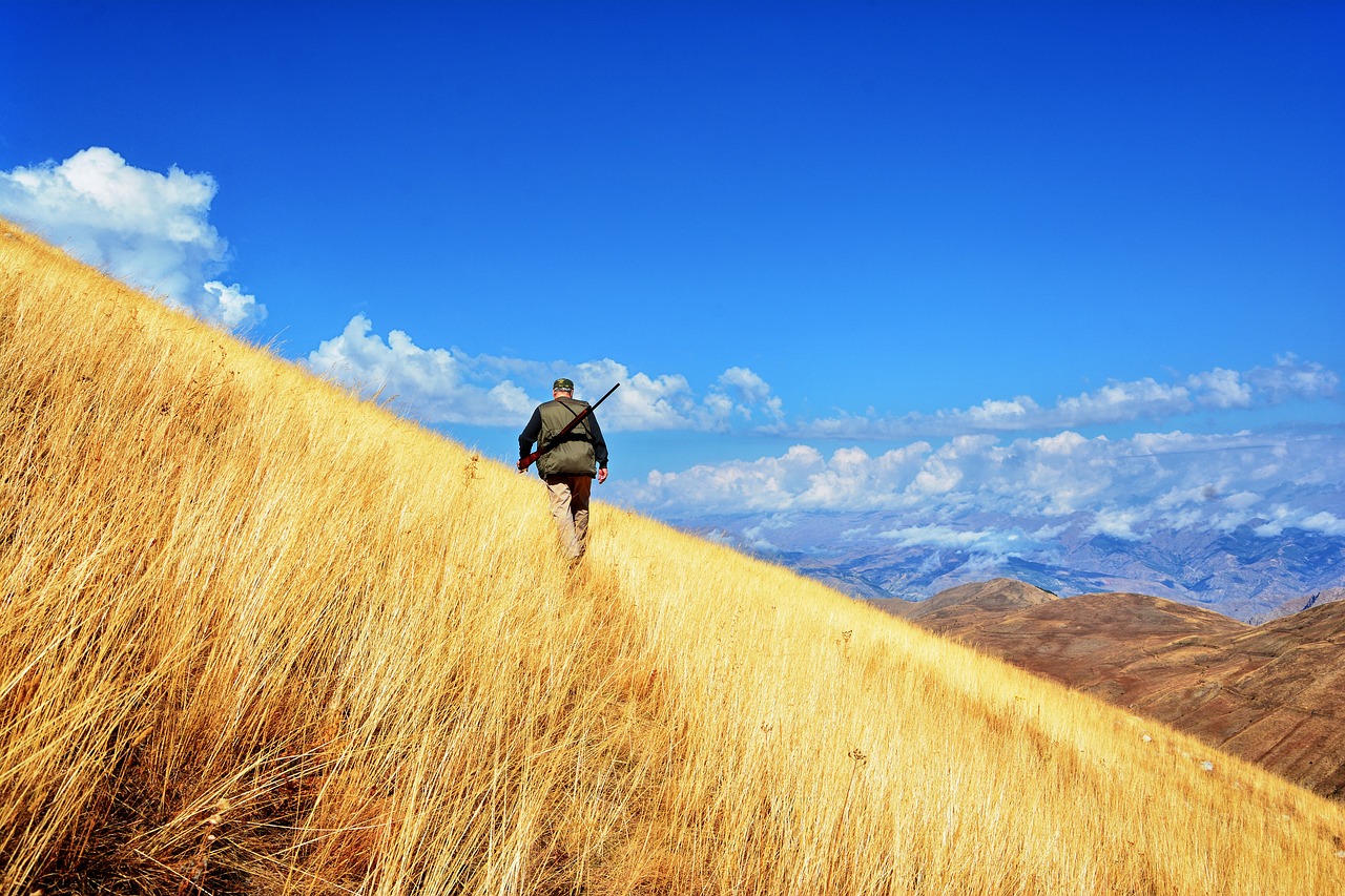 Image - turkey autumn season nature