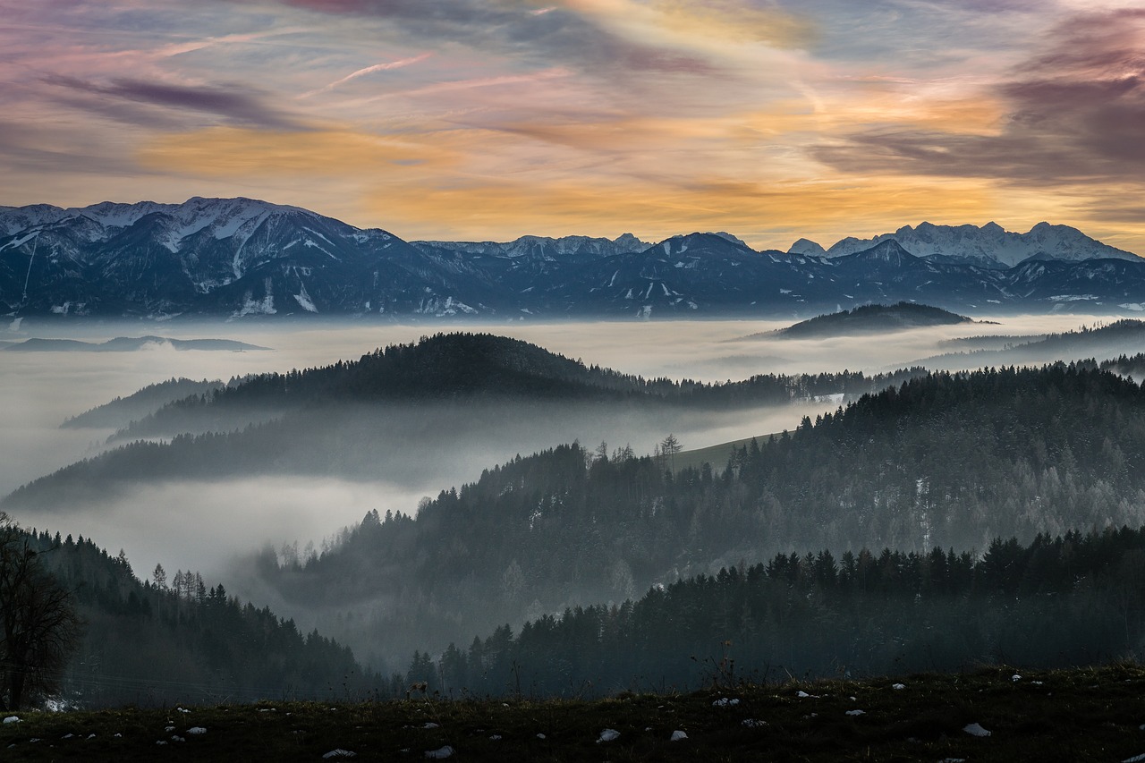 Image - landscape fog trees nature