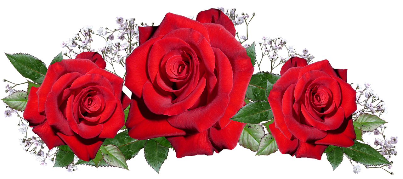 Image - roses red romantic anniversary