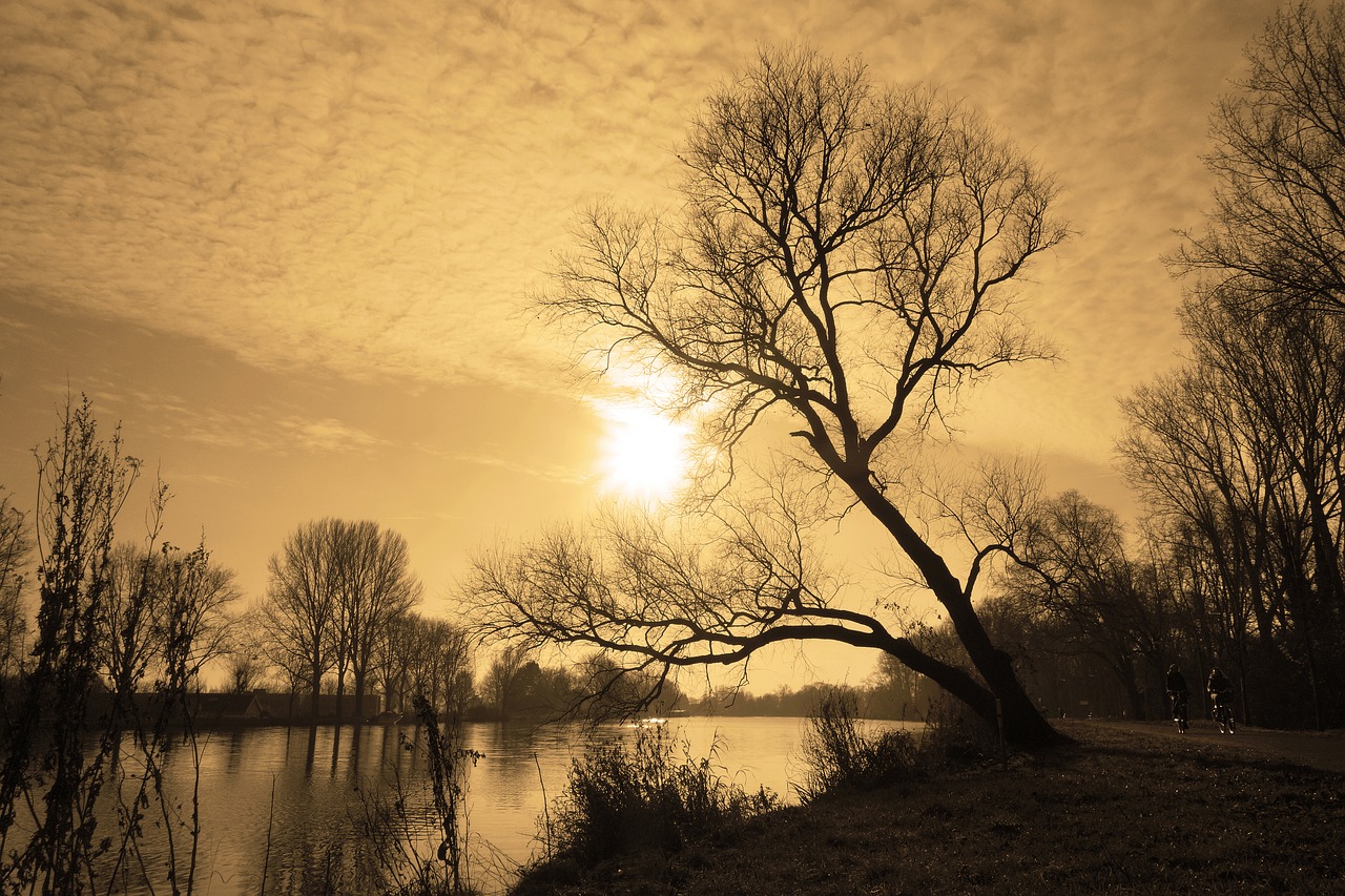 Image - river banks river view tree