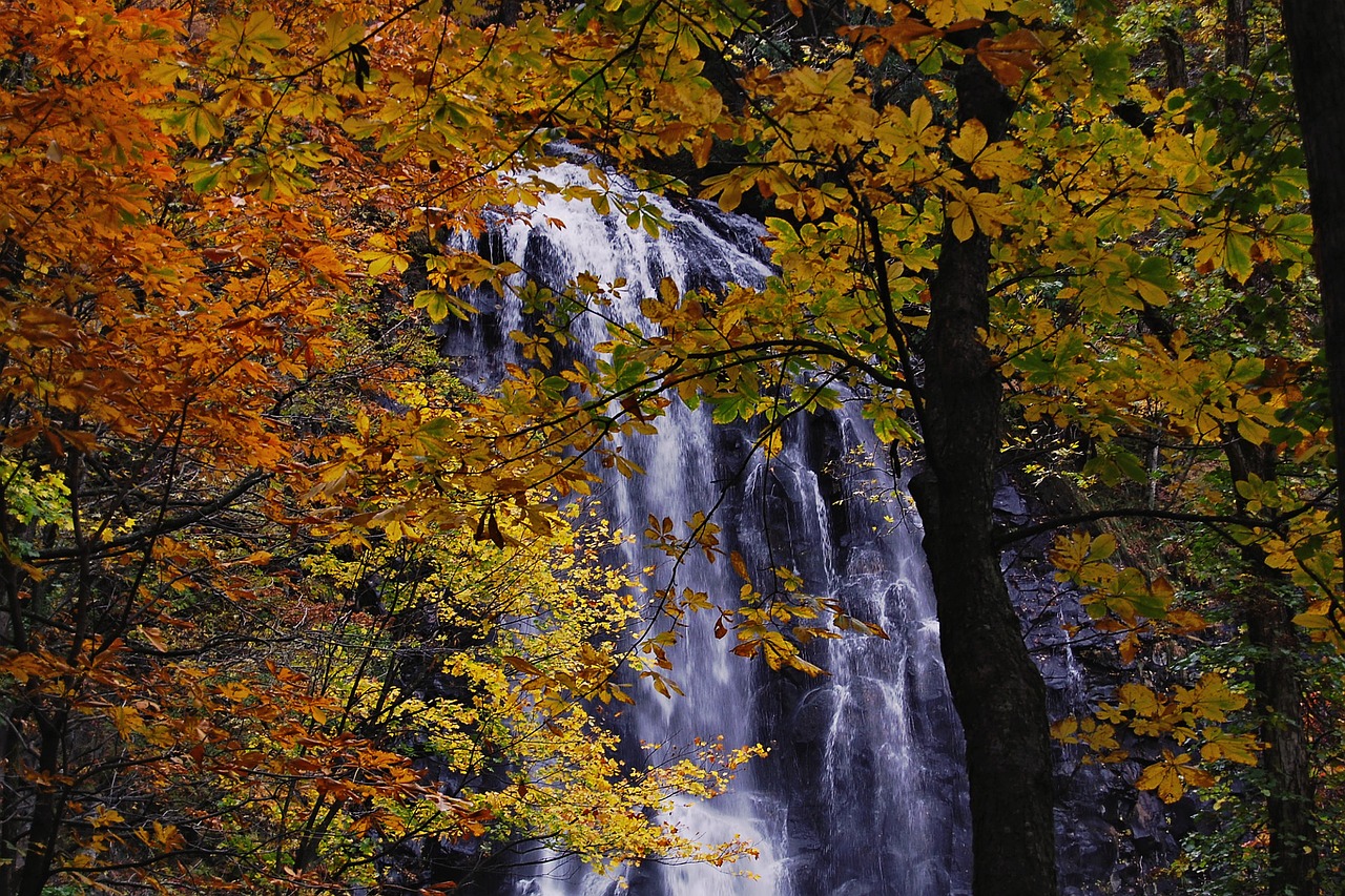 Image - japan natural landscape waterfall