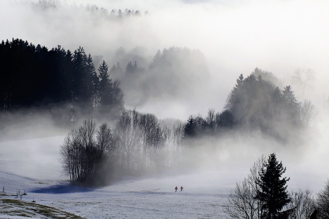 Image - fog nature winter hike wintry