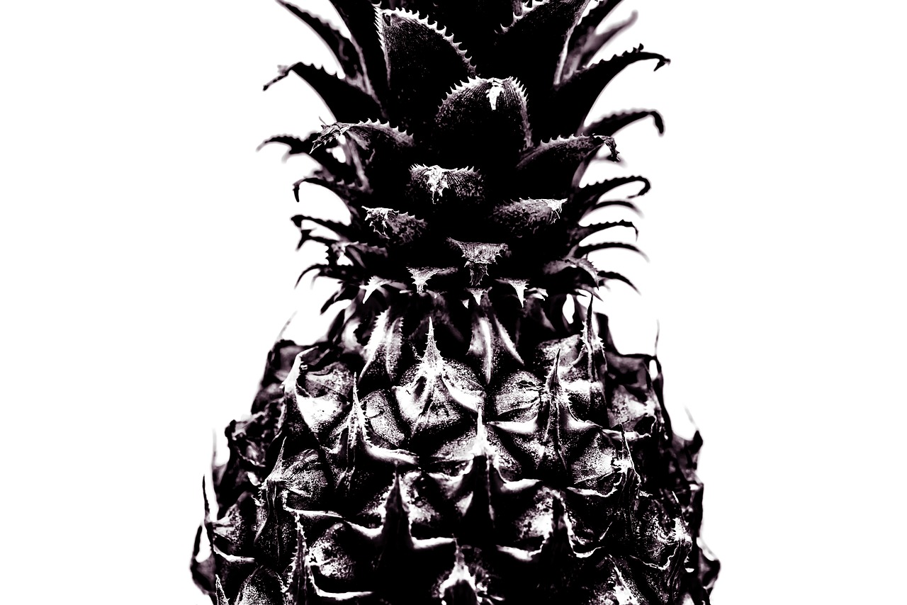 Image - pineapple isolated bw fresh fruit