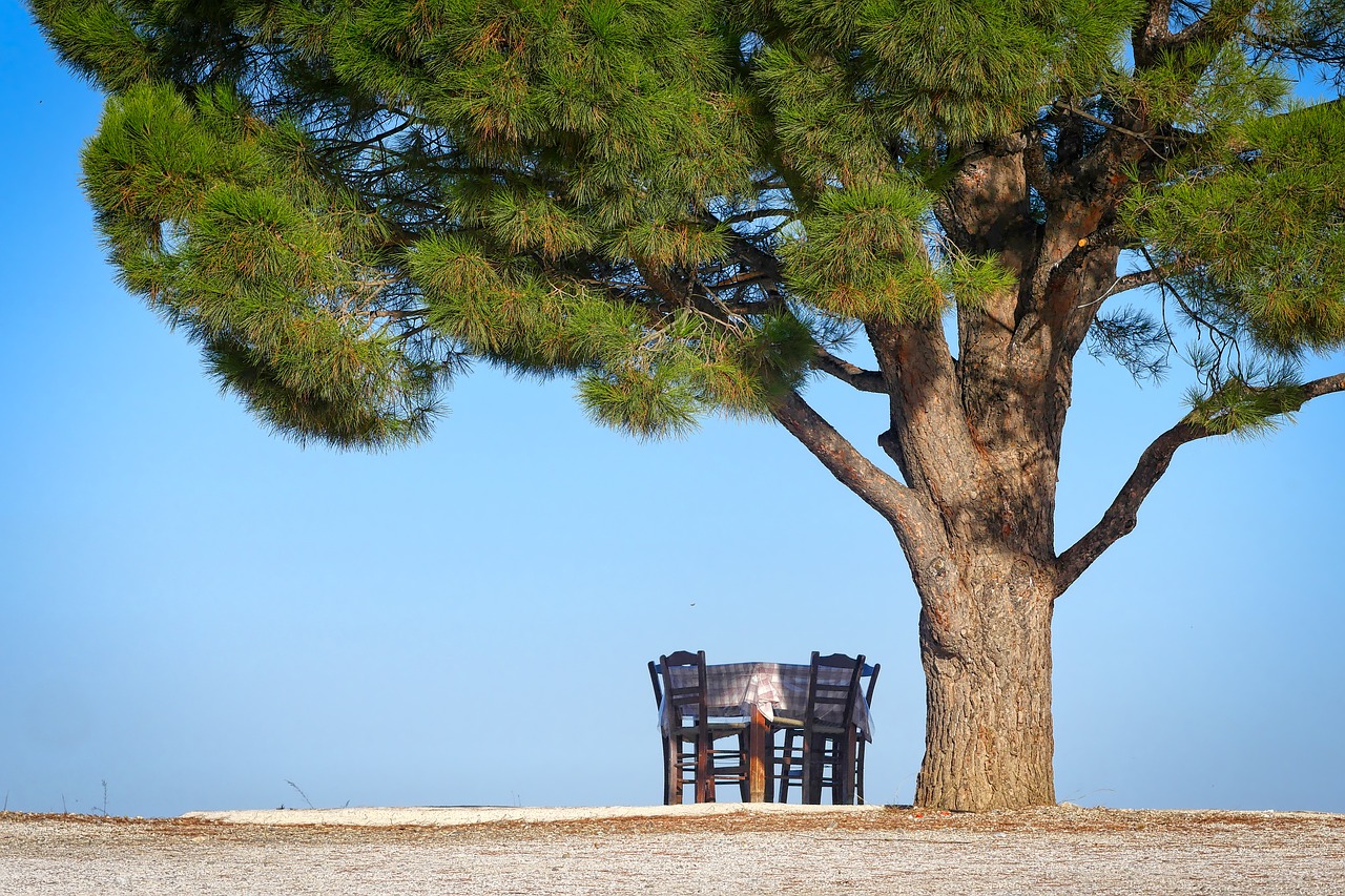 Image - tree nature sky landscape crete