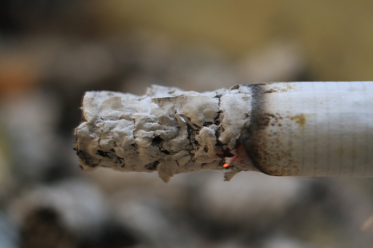 Image - nature close cigarette ash