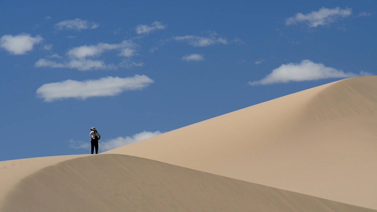 Image - mongolia desert sand dunes