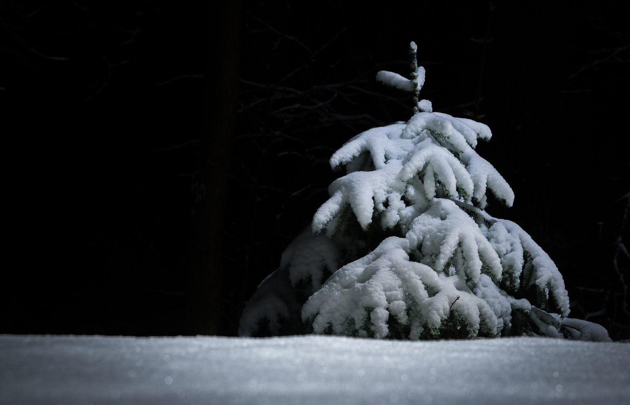 Image - outdoors snow winter herringbone