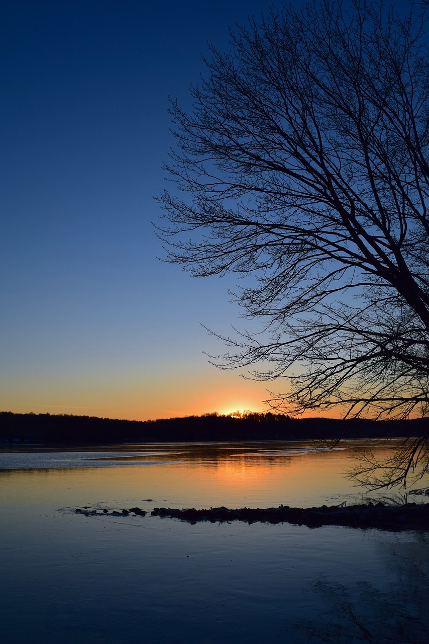 Image - lake sunset frozen landscape tree