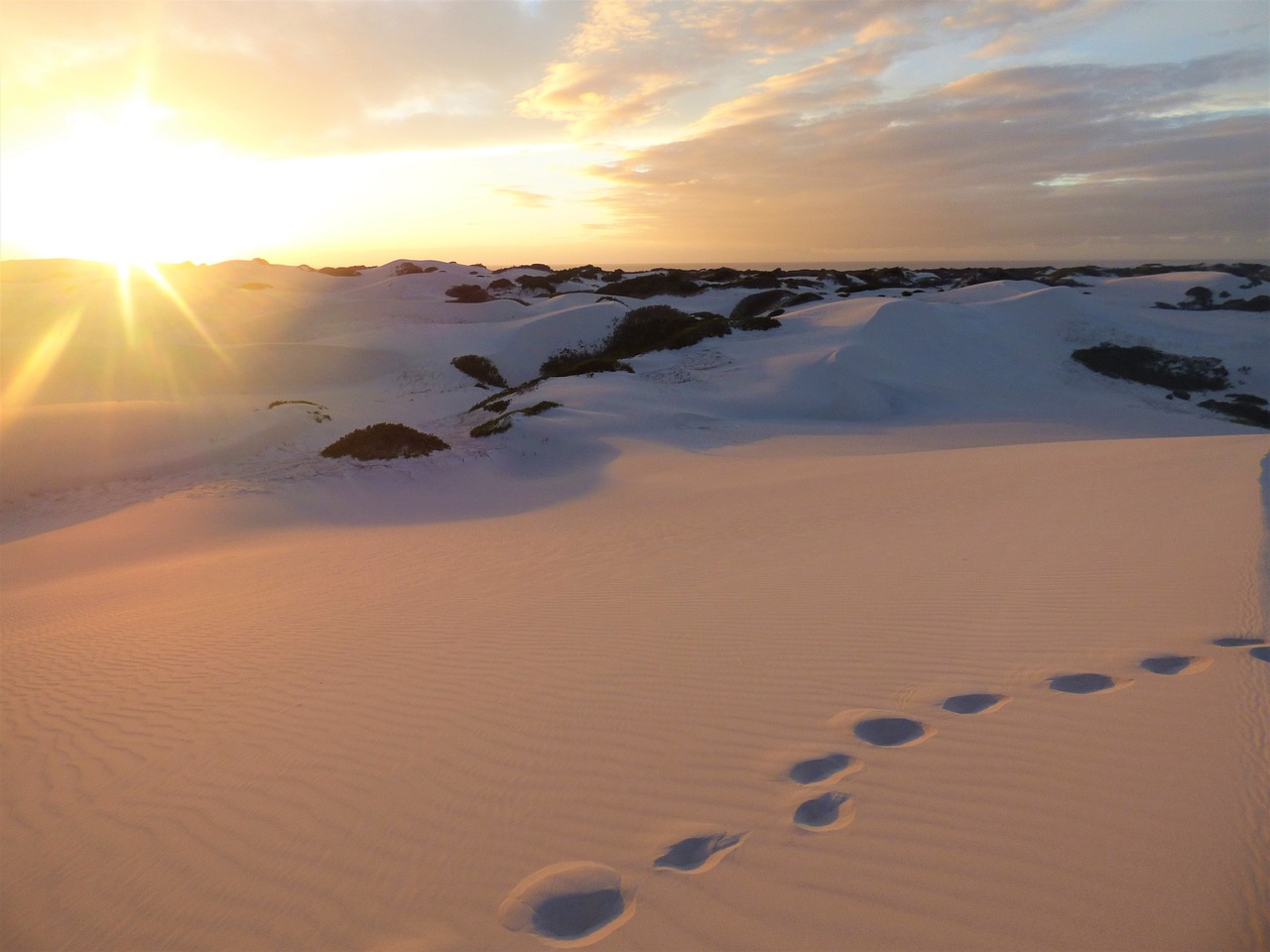 Image - beach dawn sand sunrise panorama