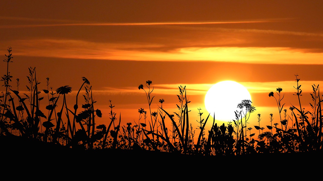 Image - sunset dusk silhouette sun evening