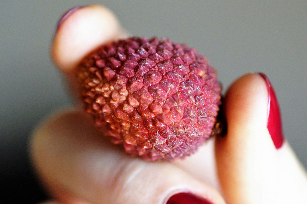 Image - lychee litchi asian exotic