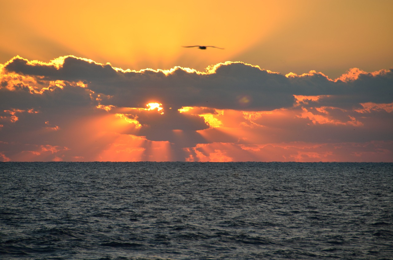 Image - sunrise orange sky nature beauty