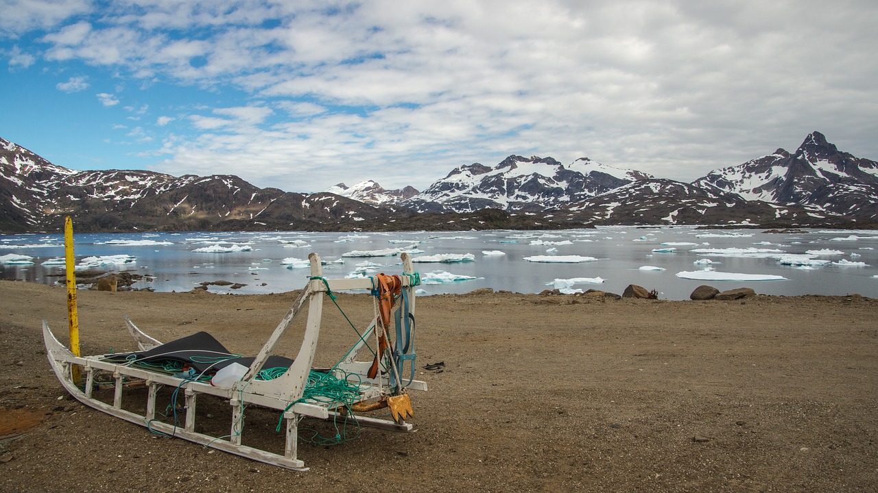 Image - sled dog sled greenland summer