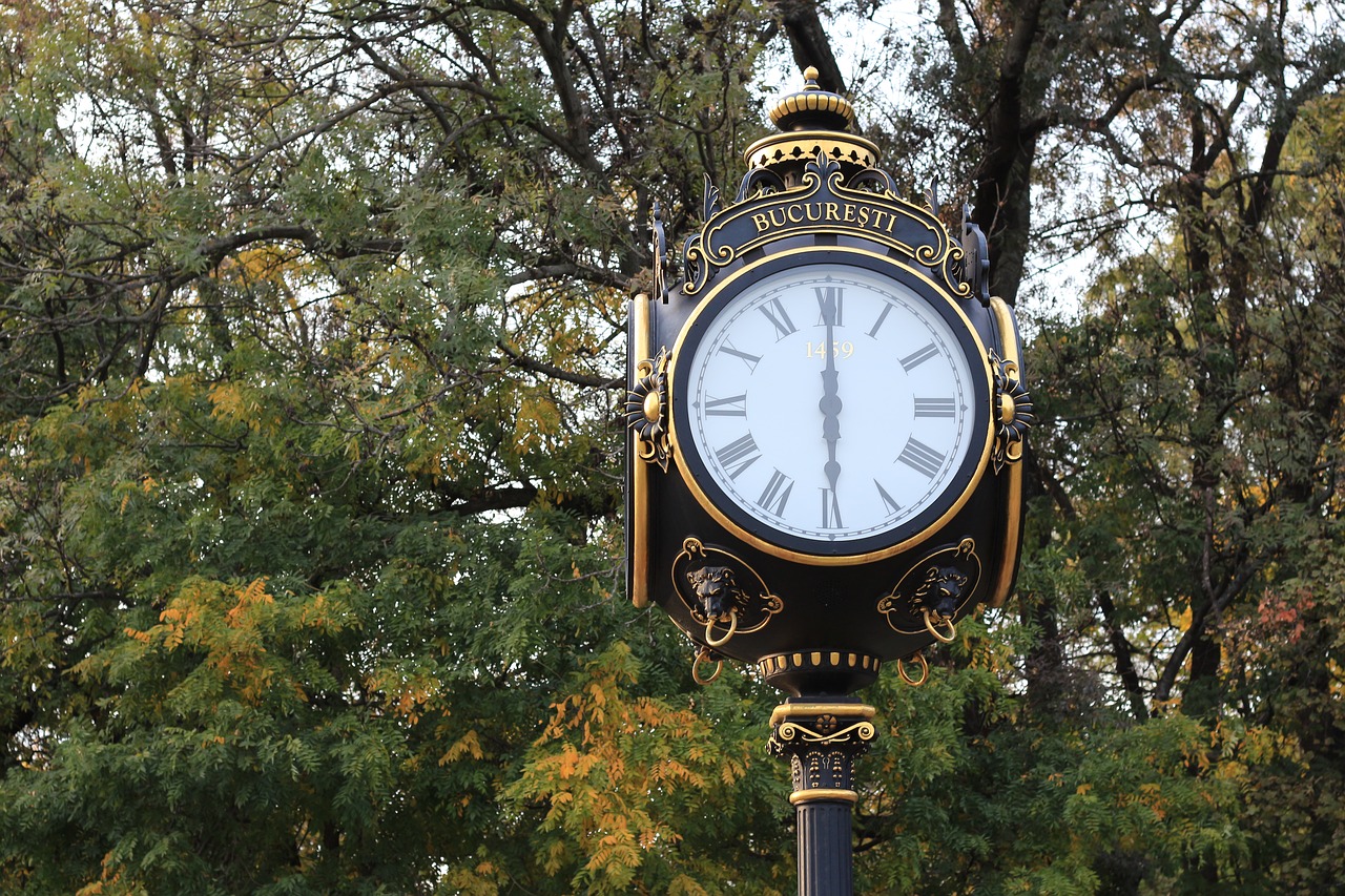 Image - time tree clock old wood park