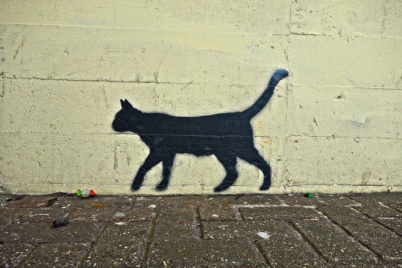 Image - cat black cat graffiti street art