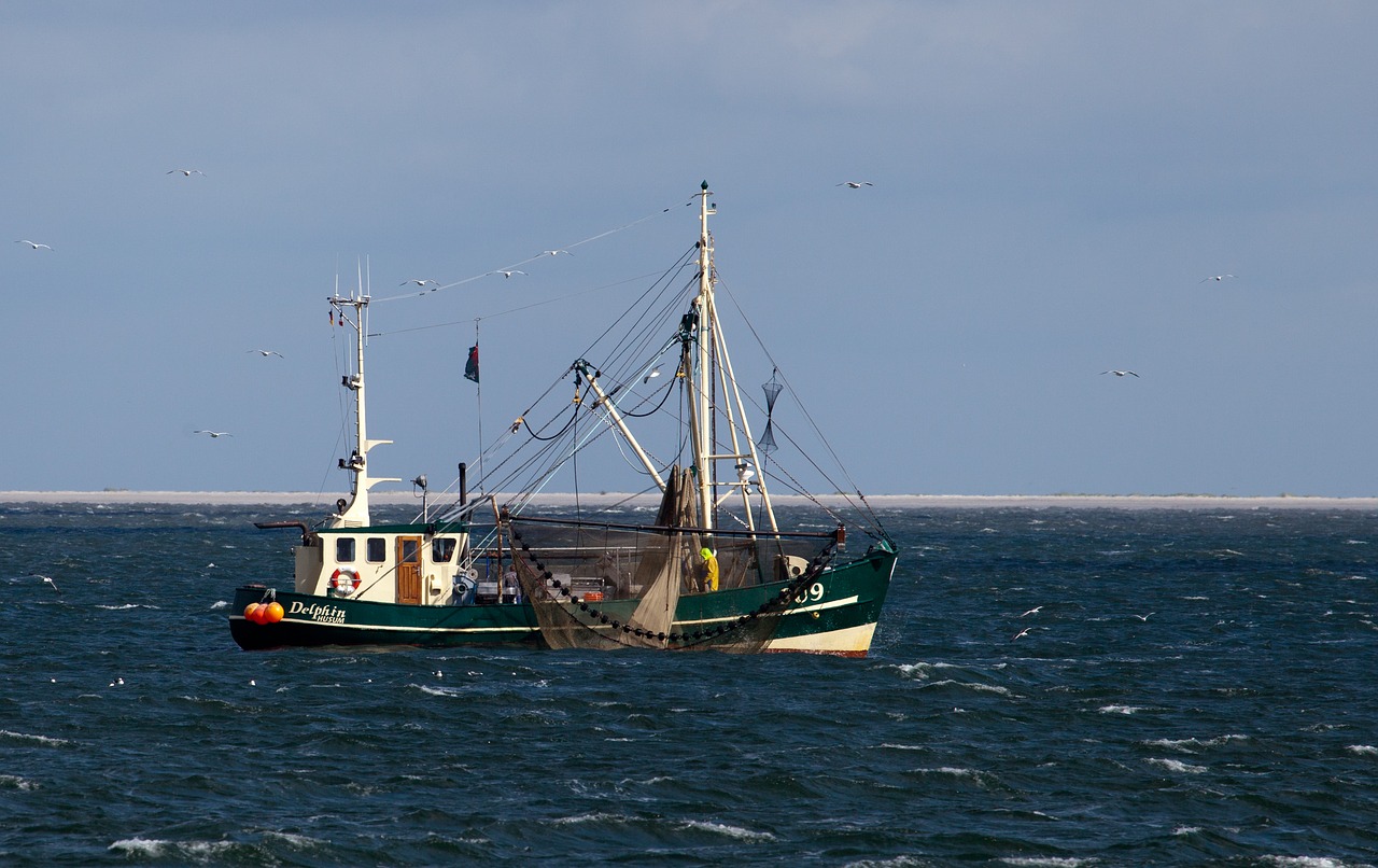 Image - sea waters ship boot coast port