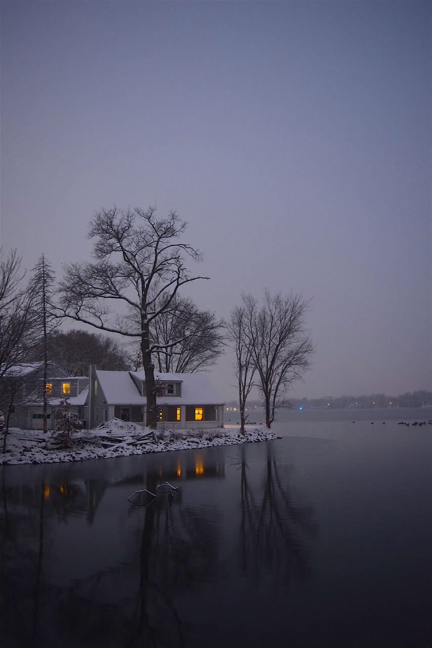 Image - lake snow tree winter light