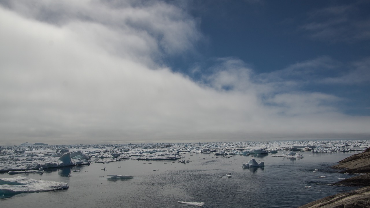 Image - drift ice iceberg coast frozen sea