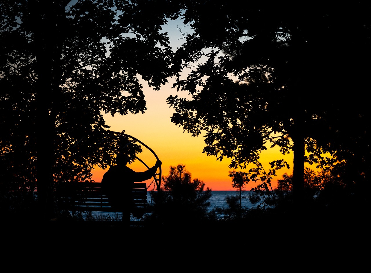 Image - trees sunset silhouette man bench