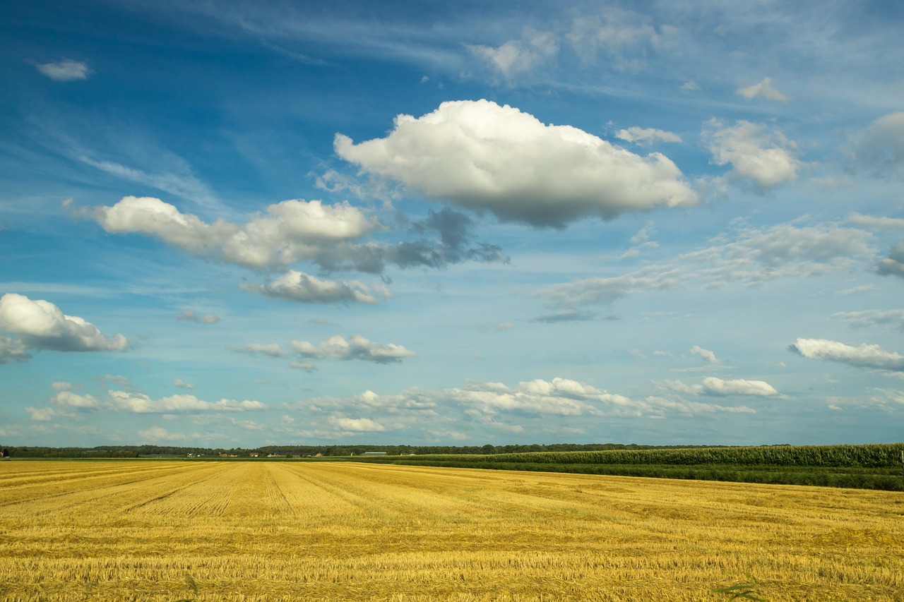 Image - panoramic nature the dome of the sky