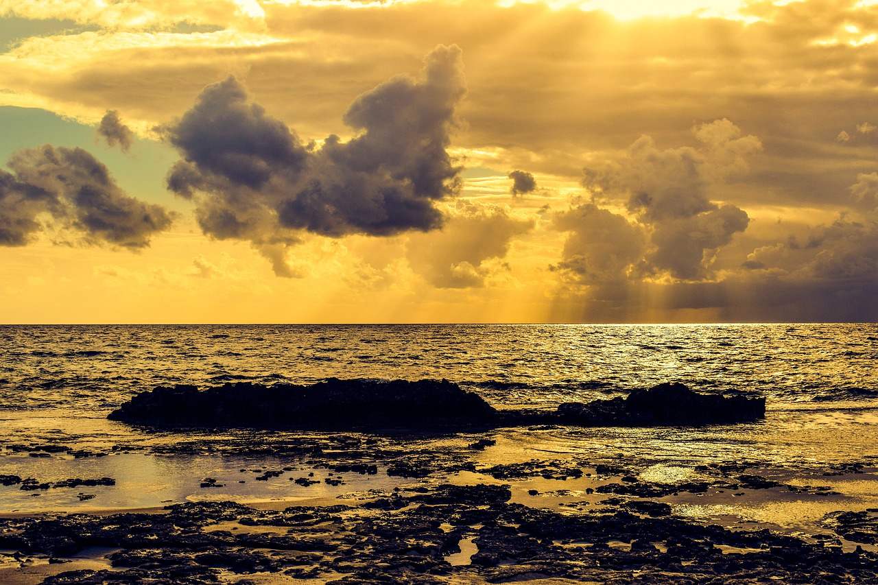 Image - sea seashore beach panoramic