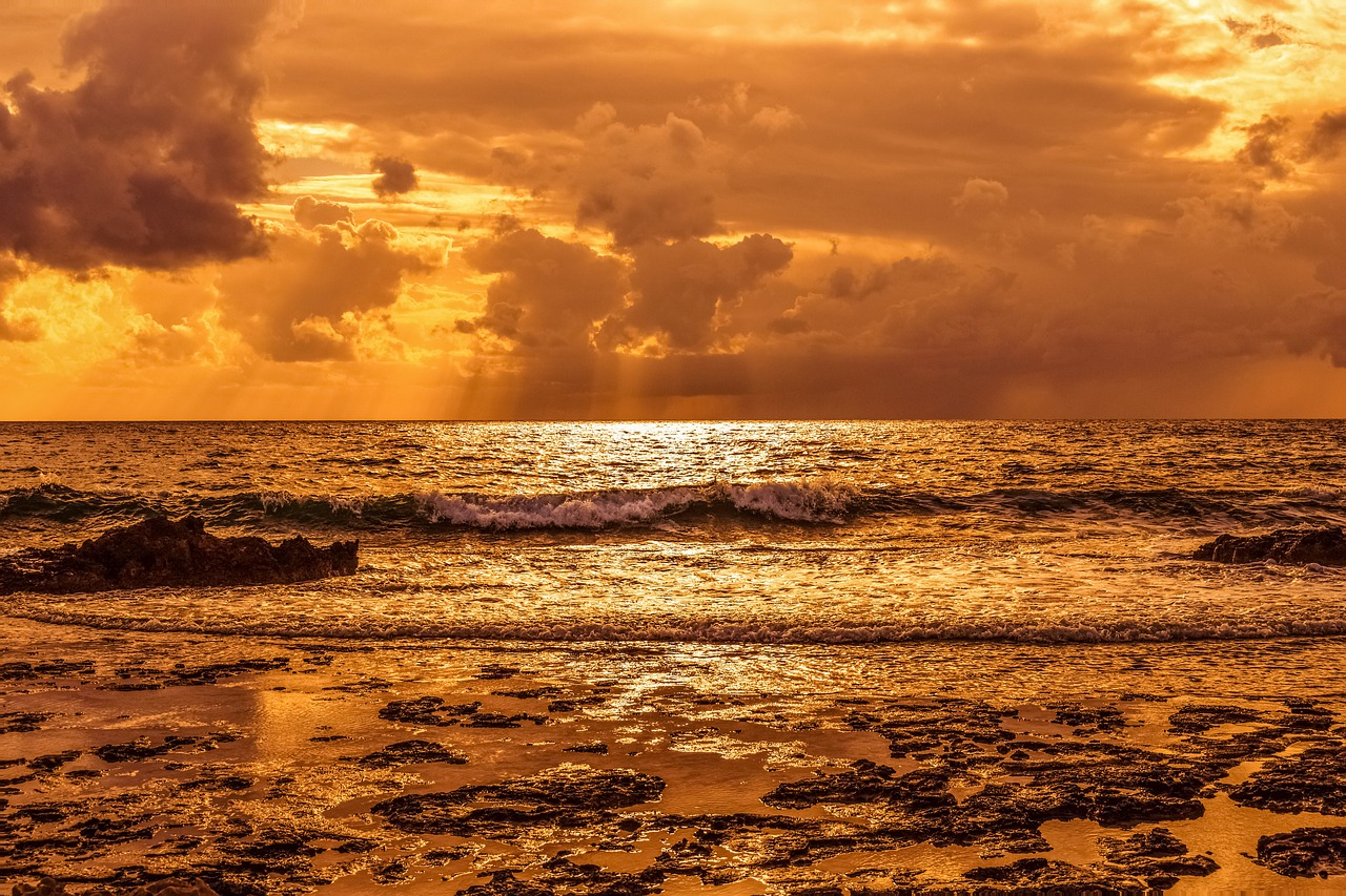 Image - sea seashore beach panoramic